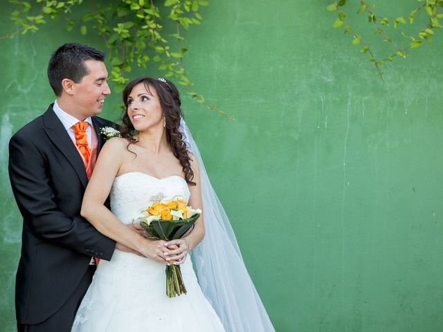 La boda de Jose Luis y Rosa en Cubas De La Sagra, Madrid 21