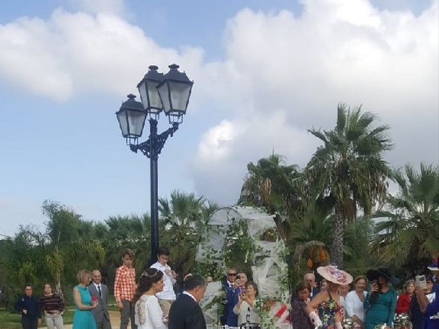 La boda de Alberto y Rocío en Gerena, Sevilla 8