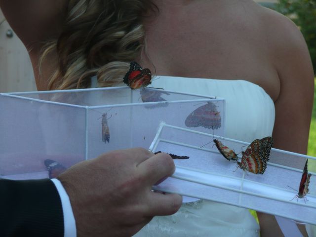La boda de Mónica y Luis en Catarroja, Valencia 6