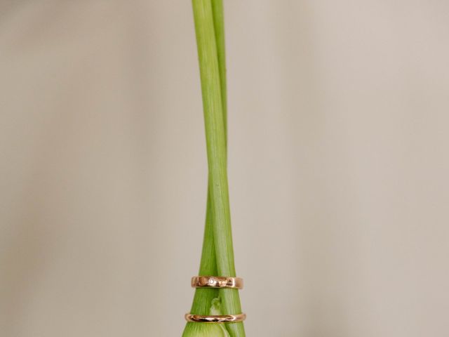 La boda de Pascual y Andrea en Castelló/castellón De La Plana, Castellón 19