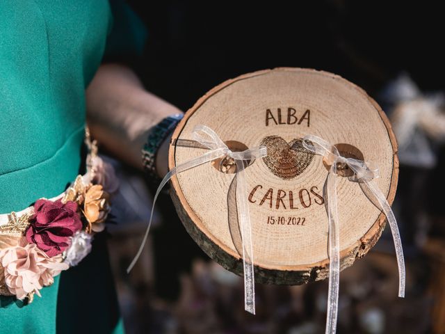La boda de Carlos y Alba en Bellvis, Lleida 41
