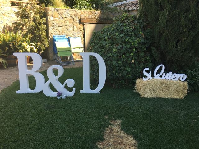 La boda de David y Belén  en Dilar, Granada 6