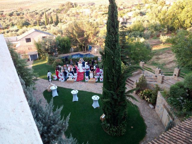 La boda de David y Belén  en Dilar, Granada 15