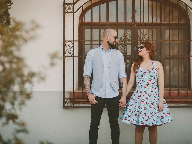 La boda de Mario y Viviana en Elx/elche, Alicante 7