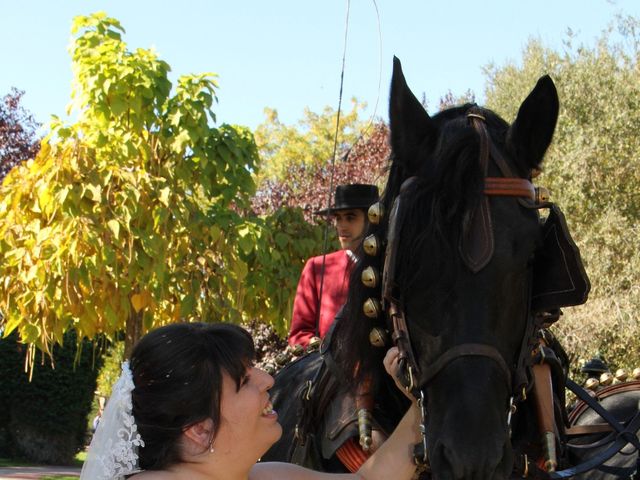 La boda de Miguel Ángel y Amparo  en Alcalá De Henares, Madrid 47