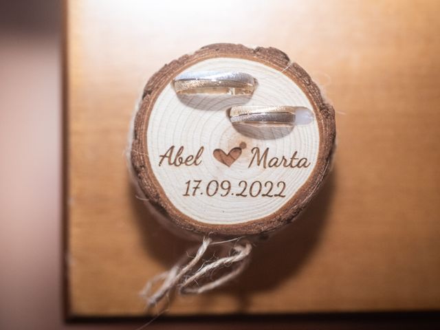 La boda de Marta y Abel en Talavera De La Reina, Toledo 11