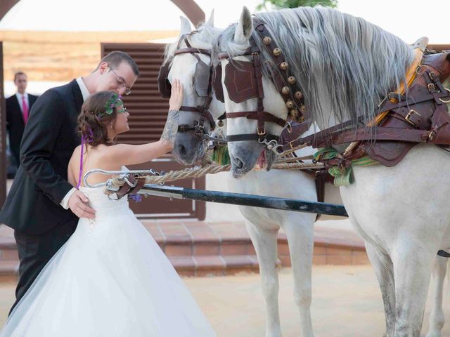 La boda de Alberto y Andreia en Toledo, Toledo 86