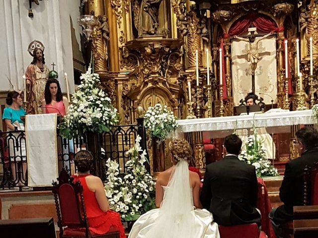 La boda de David y Cristina  en Cádiz, Cádiz 11