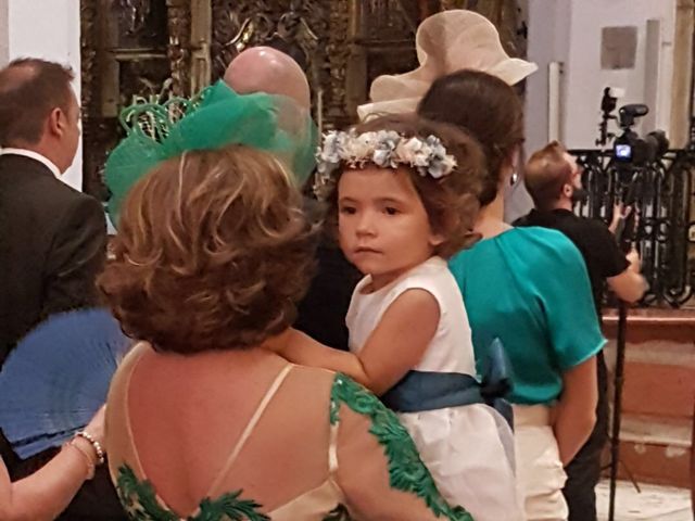 La boda de David y Cristina  en Cádiz, Cádiz 12