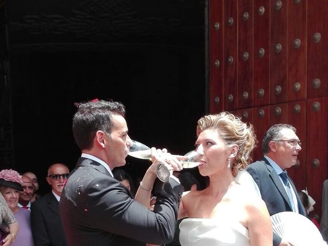 La boda de David y Cristina  en Cádiz, Cádiz 24