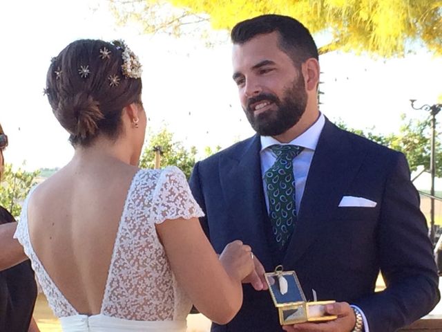 La boda de Jose Carlos y Cristina en Jerez De La Frontera, Cádiz 8