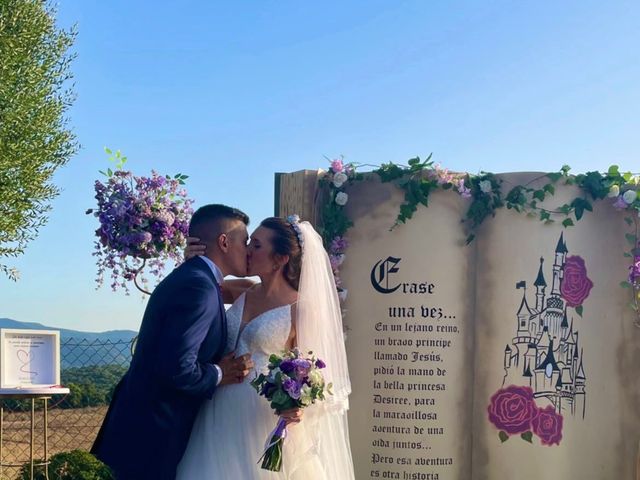 La boda de Jesús  y Desireé  en Los Barrios, Cádiz 21