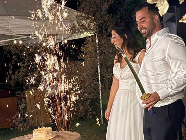 La boda de David  y Noemí  en Riudarenes, Girona 2