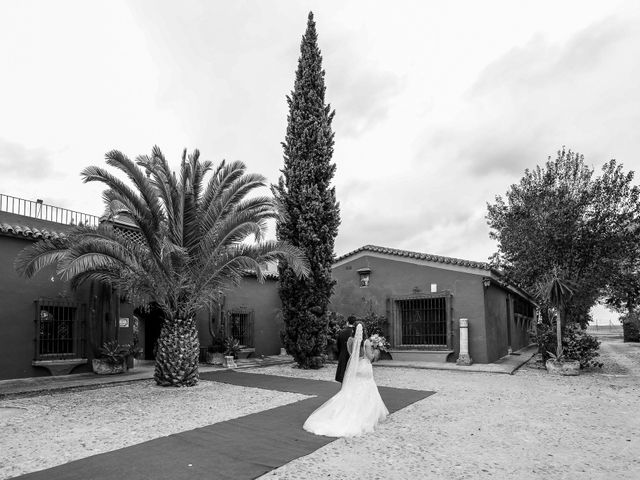 La boda de Rafa y Bridie en Jerez De La Frontera, Cádiz 9