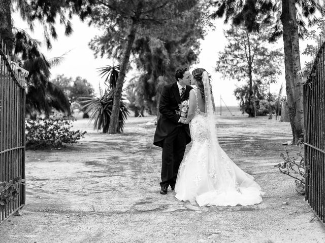 La boda de Rafa y Bridie en Jerez De La Frontera, Cádiz 11