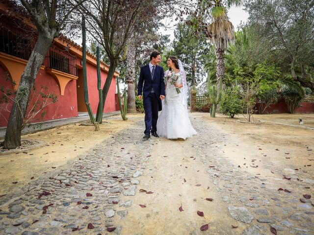 La boda de Rafa y Bridie en Jerez De La Frontera, Cádiz 26