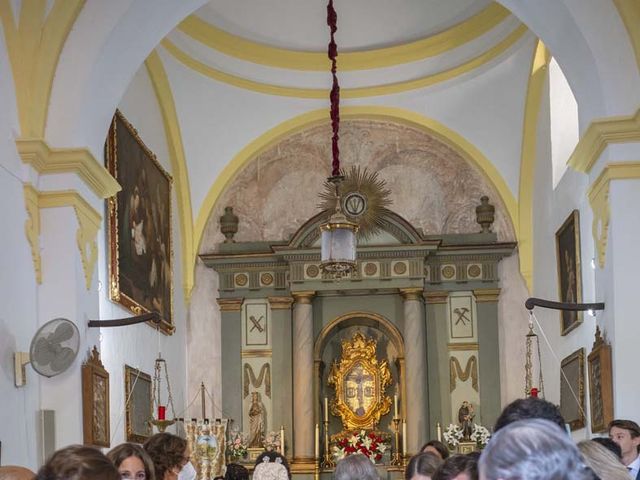 La boda de Antonio y Alejandra en Arcos De La Frontera, Cádiz 5