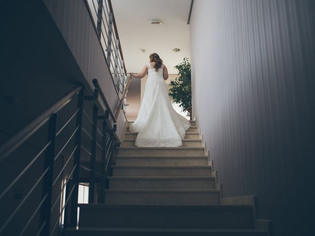 La boda de Fco. Javier y Paloma en Cáceres, Cáceres 5