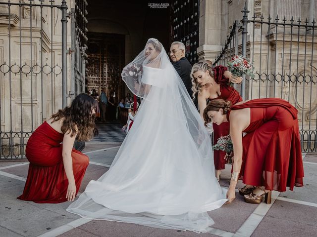 La boda de Manuel y Elisabet en Jerez De La Frontera, Cádiz 1