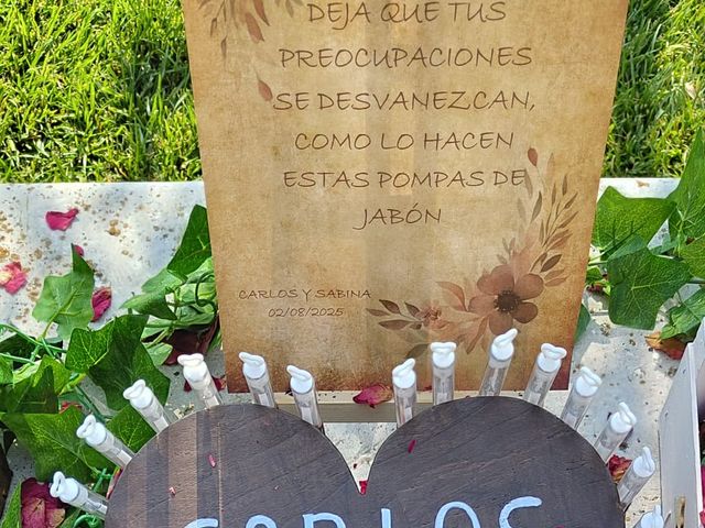 La boda de Carlos y Sabina en Zamora, Zamora 5