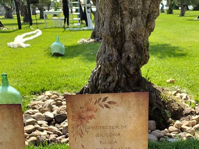 La boda de Carlos y Sabina en Zamora, Zamora 7