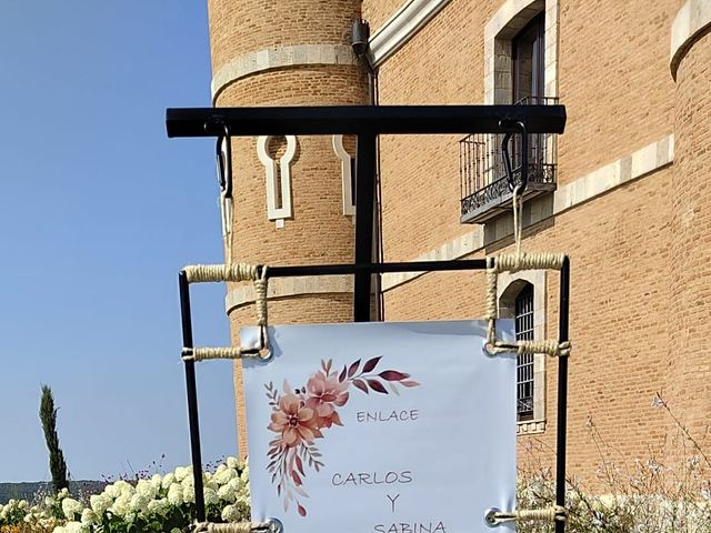 La boda de Carlos y Sabina en Zamora, Zamora 8