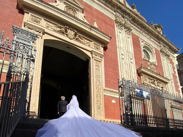 La boda de Alejandro y Briggitte en Sevilla, Sevilla 17