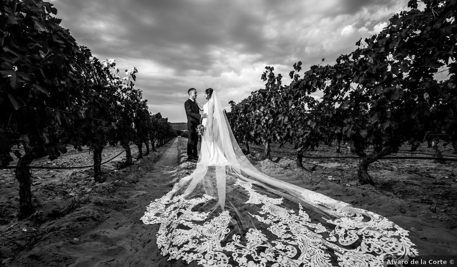 La boda de Almudena y Sergio en Quintanilla De Onesimo, Valladolid