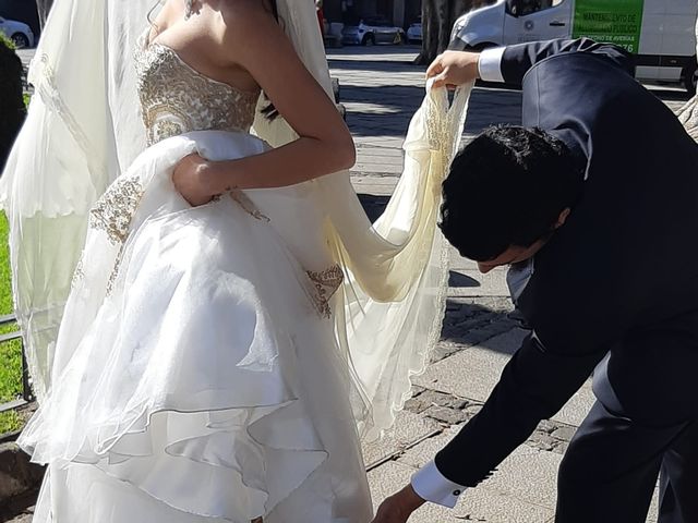 La boda de Airam y Érica en San Cristóbal de La Laguna, Santa Cruz de Tenerife 2
