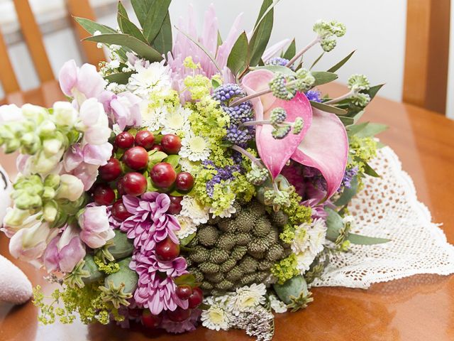 La boda de Jose y Maria en Guadarrama, Madrid 2