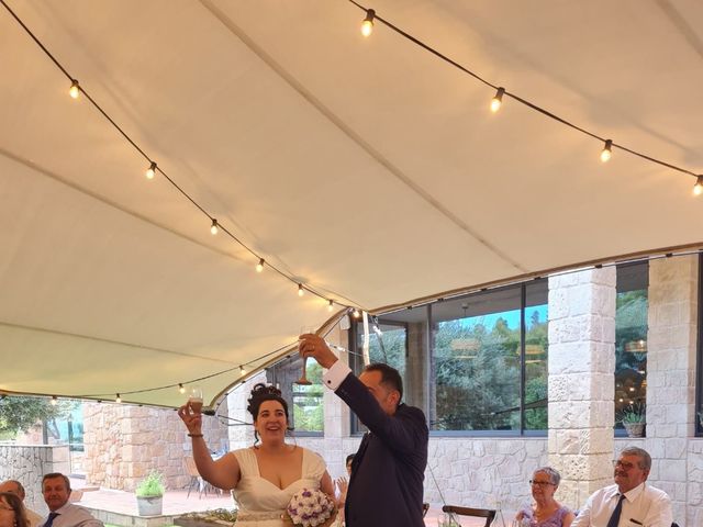 La boda de Abel y Cristina  en Horta De Sant Joan, Tarragona 5