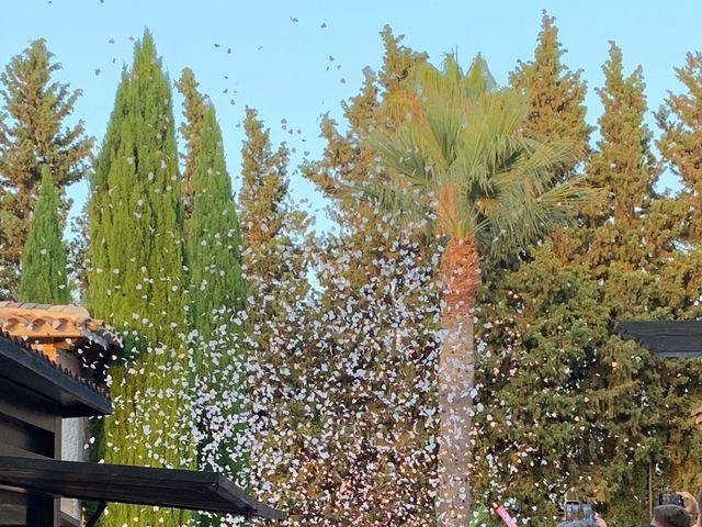 La boda de Pablo y Carmen  en Alhaurin El Grande, Málaga 3