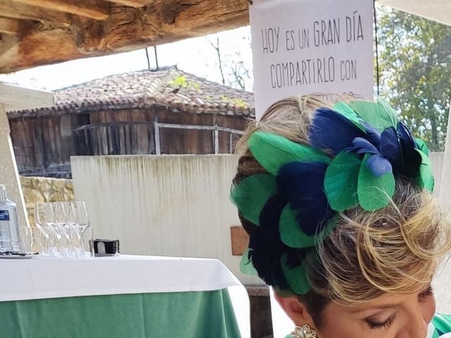 La boda de David y Marian en Meres (Siero), Asturias 4