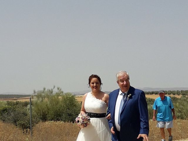 La boda de Noel y Isa en Fuente Piedra, Málaga 2