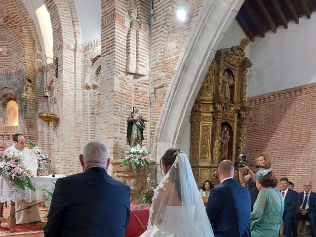 La boda de Fernando y Alejandra en Peñaranda De Bracamonte, Salamanca 6