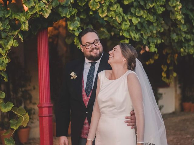 La boda de Luis y María en Jerez De La Frontera, Cádiz 22