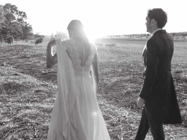 La boda de Carlos y Berta en Trujillo, Cáceres 53