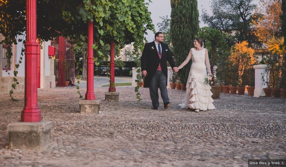 La boda de Luis y María en Jerez De La Frontera, Cádiz