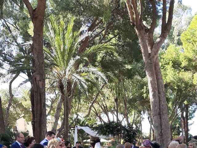 La boda de Carlos y Myriam en Partida San Juan, Alicante 3