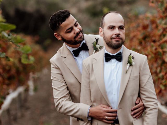 La boda de Bruno y Óscar en Las Palmas De Gran Canaria, Las Palmas 48