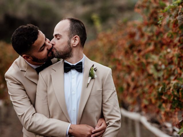 La boda de Bruno y Óscar en Las Palmas De Gran Canaria, Las Palmas 49