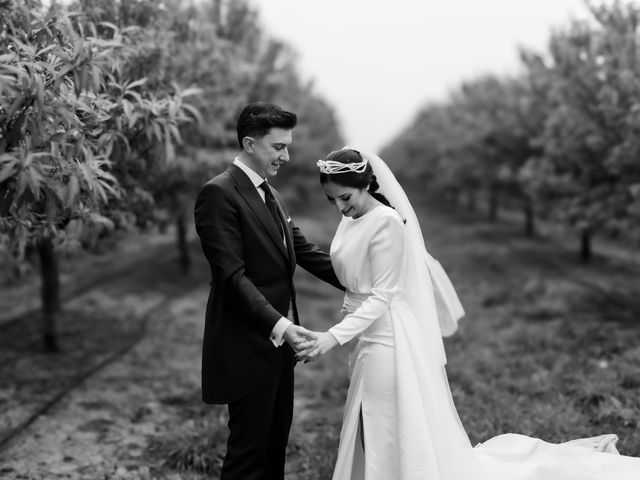 La boda de Angela y Pedro en La Palma Del Condado, Huelva 40