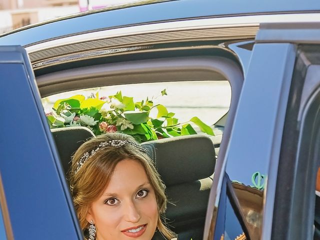 La boda de David y Elena en Carranque, Toledo 7