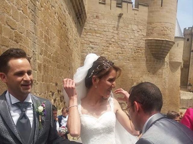 La boda de José Miguel y Olga en Olite, Navarra 6