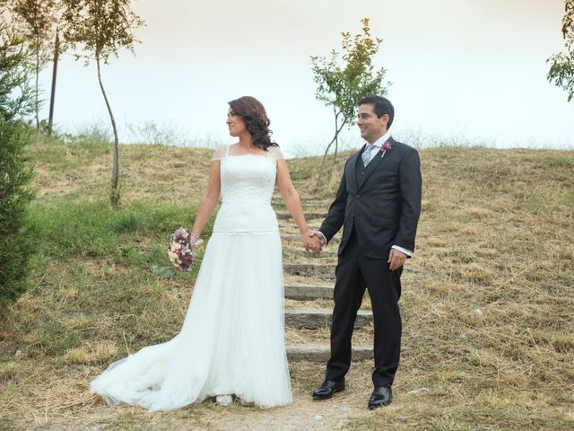 La boda de Adrian y Lydia en Otero De Herreros, Segovia 14