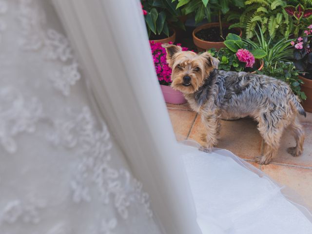 La boda de Carlos y Marta en Velez Malaga, Málaga 11