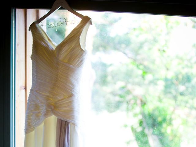 La boda de Andrés y Andrea en Pueblo Navacerrada, Madrid 6