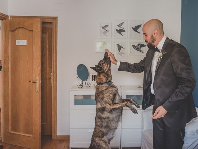 La boda de Toni y Marta en Sant Fost De Campsentelles, Barcelona 9