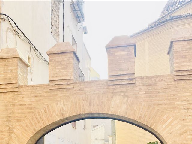 La boda de Stefan y Marina en Valencia, Valencia 10