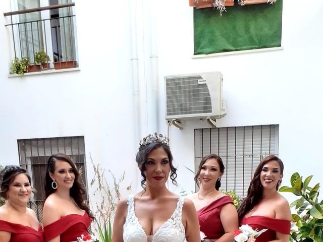 La boda de Juan José y Almudena en Fuente Palmera, Córdoba 12